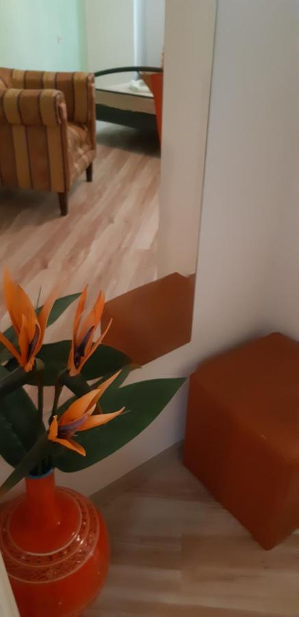 Apartments Olivia Пула Екстер'єр фото